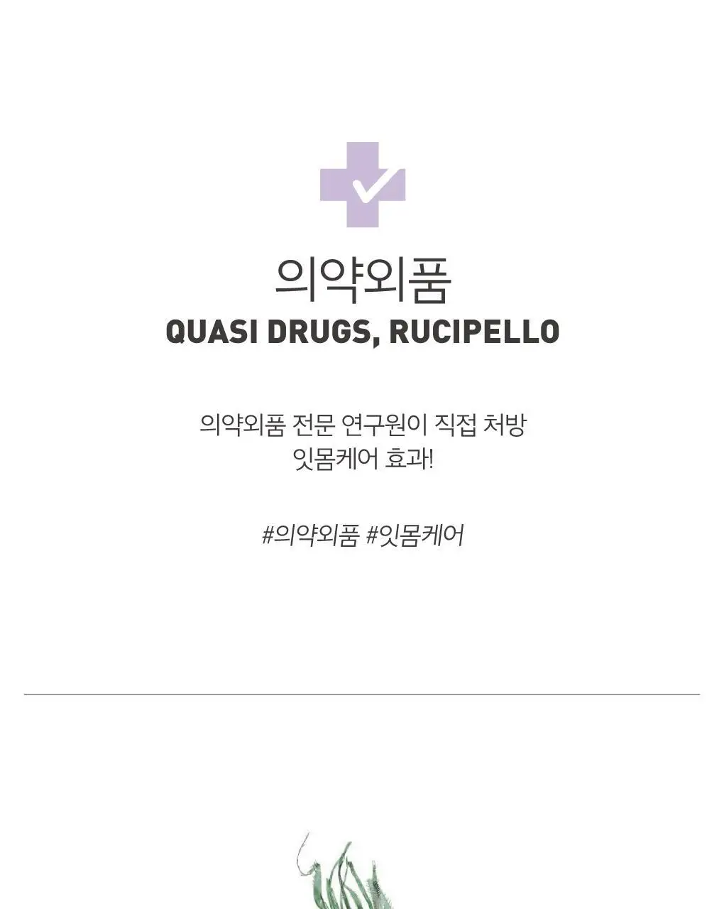 [잇몸케어] 루치펠로 트로피칼오션 치약 100g 상세페이지 6